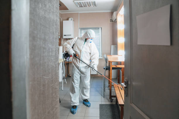 Best Mold Remediation for Healthcare Facilities  in Silver Springs Shores, FL