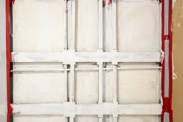 Best Comprehensive Air Testing for Mold Contaminants  in Silver Springs Shores, FL