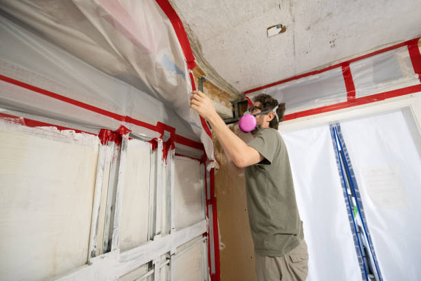 Best Mold Removal for HVAC Installations  in Silver Springs Shores, FL