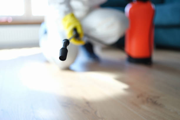 Trusted Silver Springs Shores, FL Mold Removal Experts