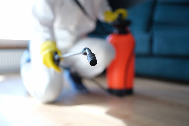 Best Crawl Space Mold Remediation  in Silver Springs Shores, FL