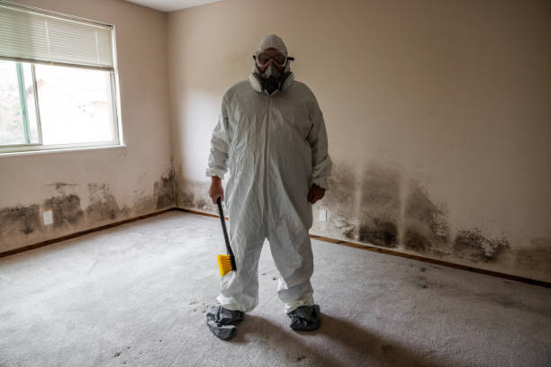 Best Biohazard Mold Removal  in Silver Springs Shores, FL